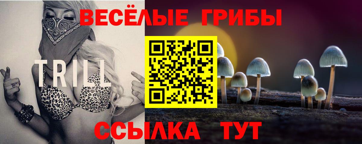 Псилоцибиновые грибы мицелий  дарнет шоп  Вход с VPN  Междуреченск  Галлюциногенные грибы Psilocybine cubensis 